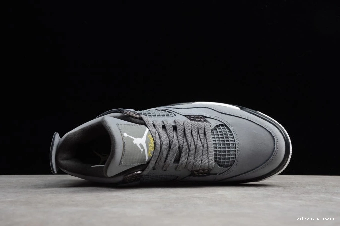 Rep Air Cool Jordan Grey Retro 308497-007 (2019) 4 0821